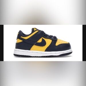 Nike Dunk Low ‘Michigan’ TD